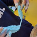 Ziehen und Formen 