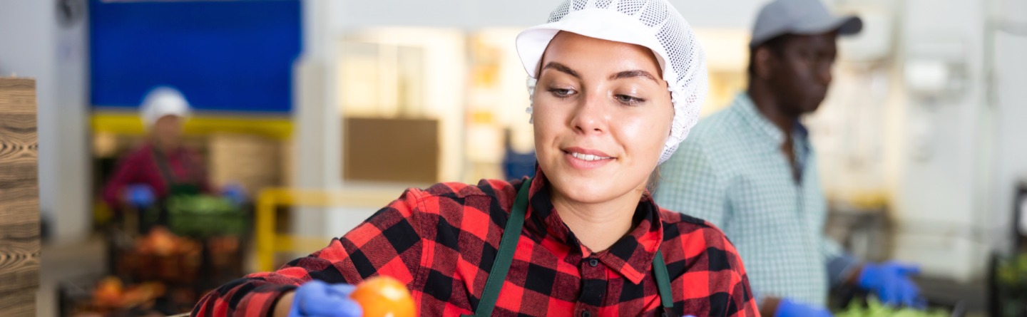 Header: Eine junge Frau ist bei der Arbeit und sortiert Mandarinen in eine Kiste ein. 