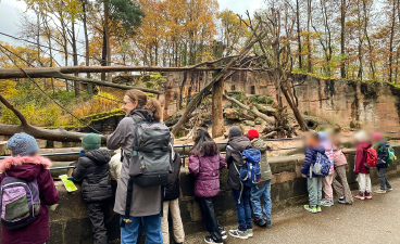KoGa-Ausflug in den Tiergarten 